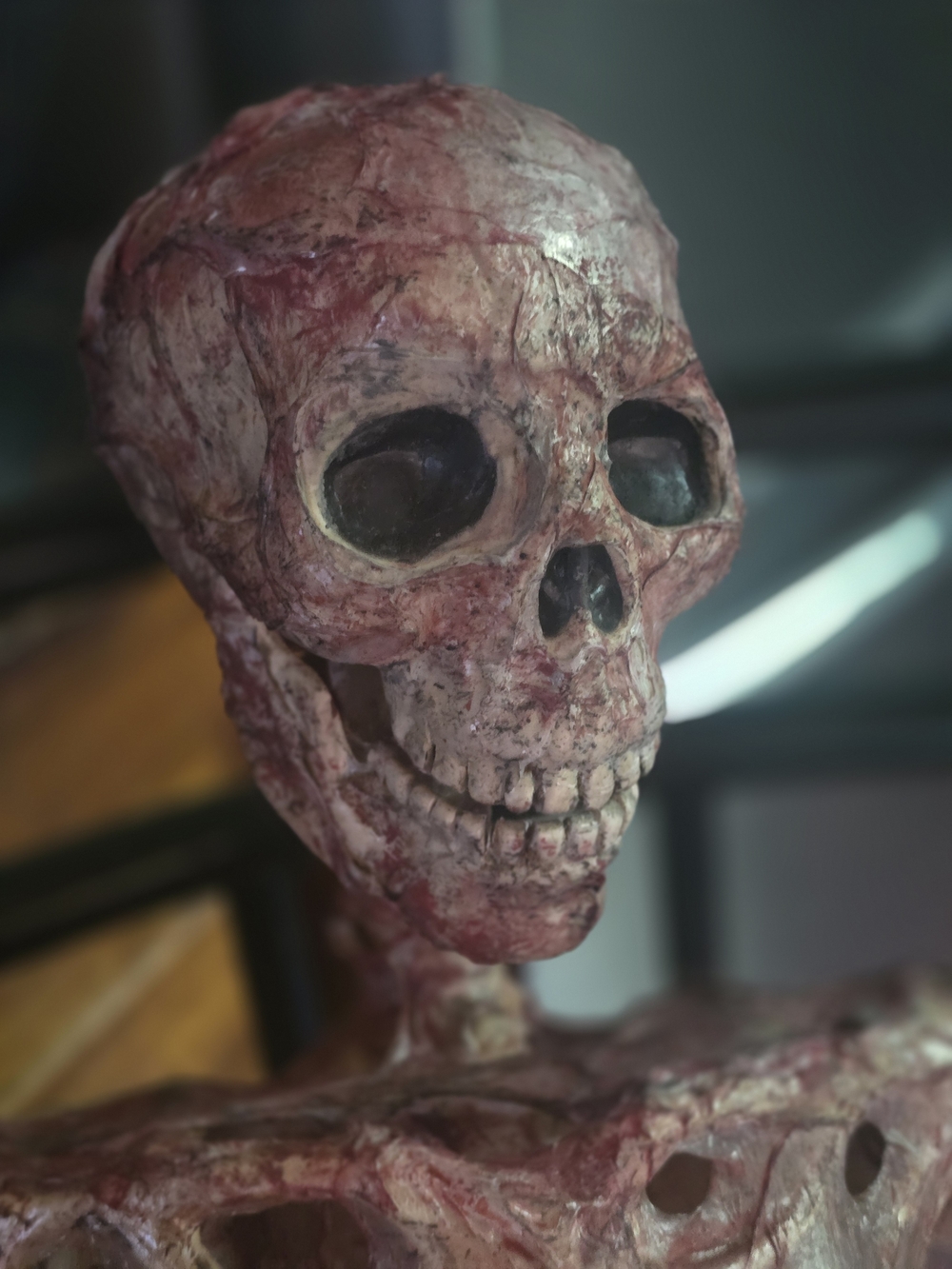Skeleton Corpse Halloween Prop - Picture 6 of 7